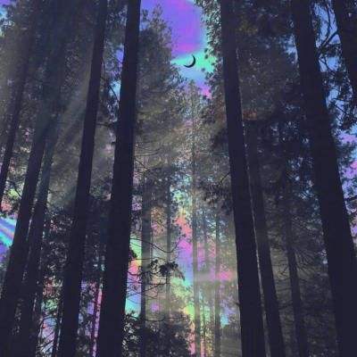 亚星娱乐网app下载