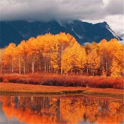 博鱼·体育中国入口截图